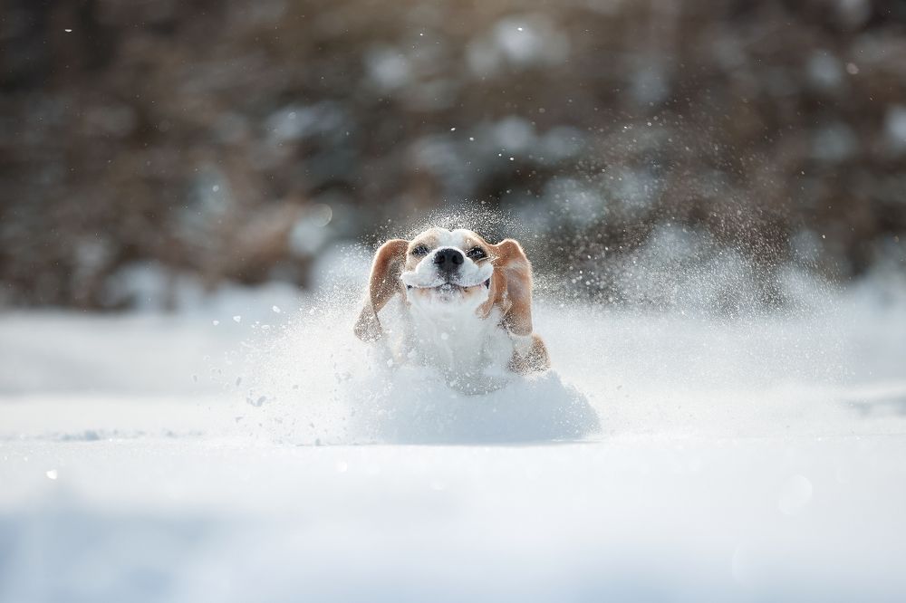 Photograph by Лана Полякова