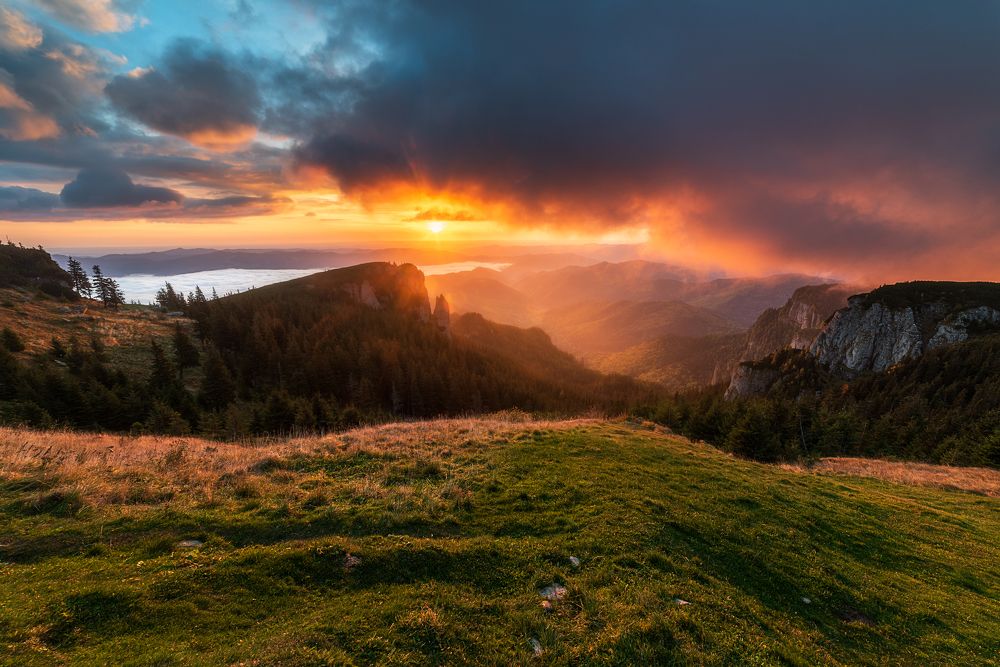 Photograph by Alexandru Handrache