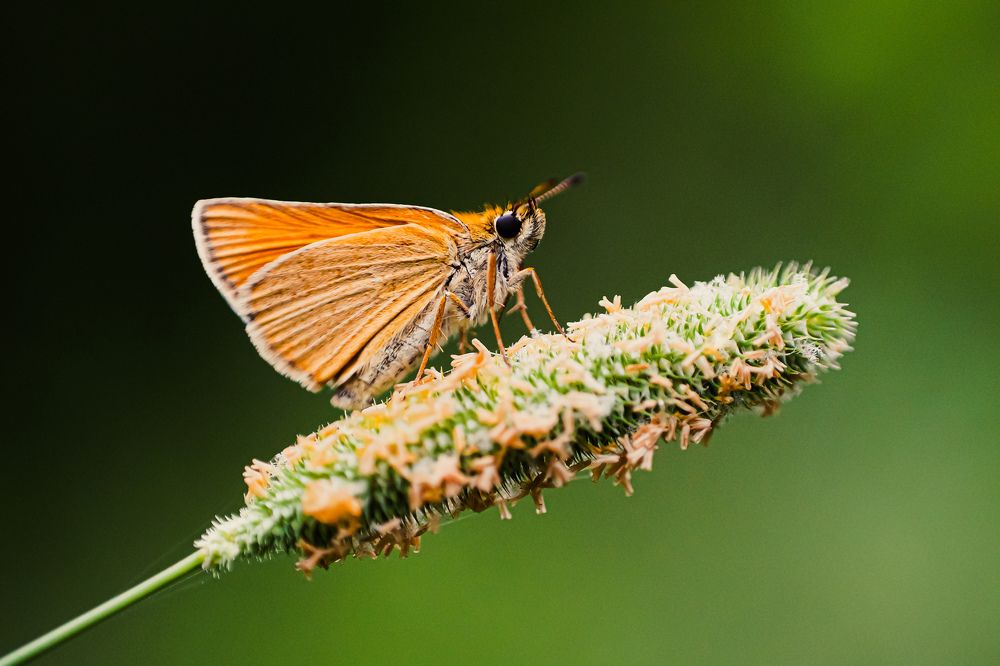 Photograph by Александр Казак