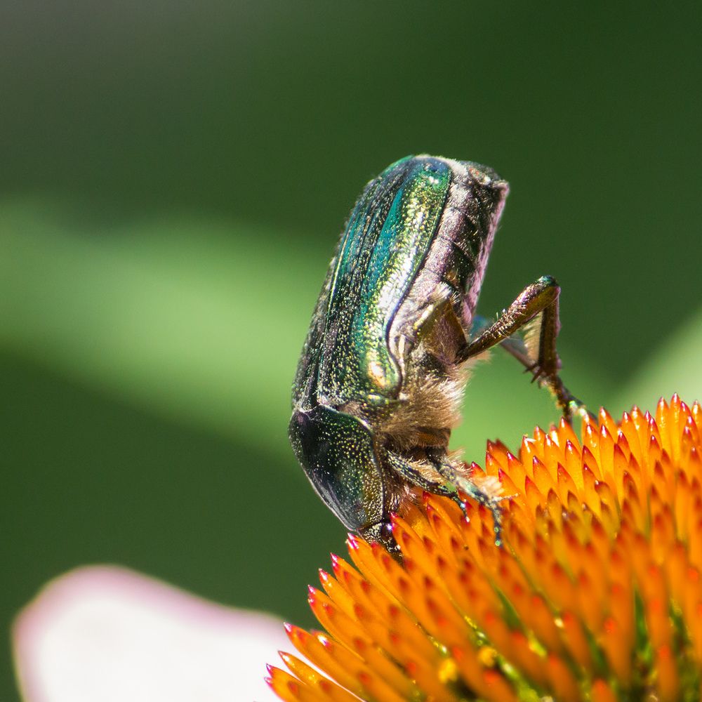 Фотография автора Борис Журавлёв
