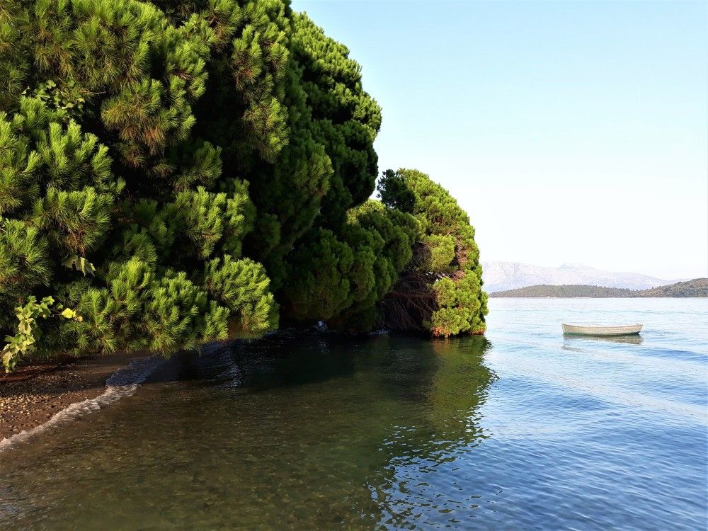 Photograph by Larissa Nayda