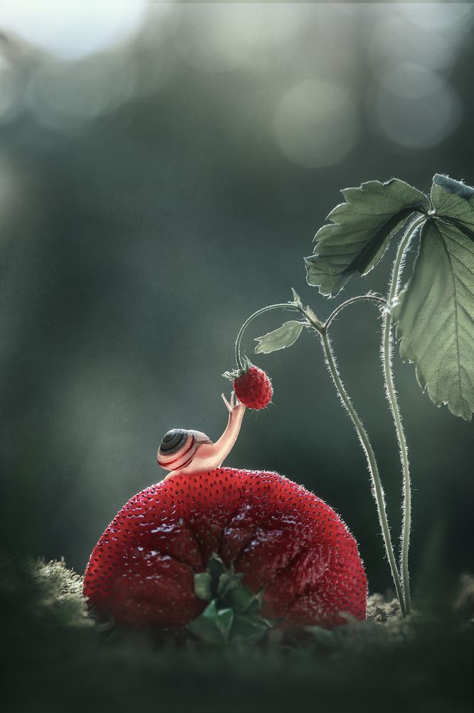 "Всем всегда всего мало"