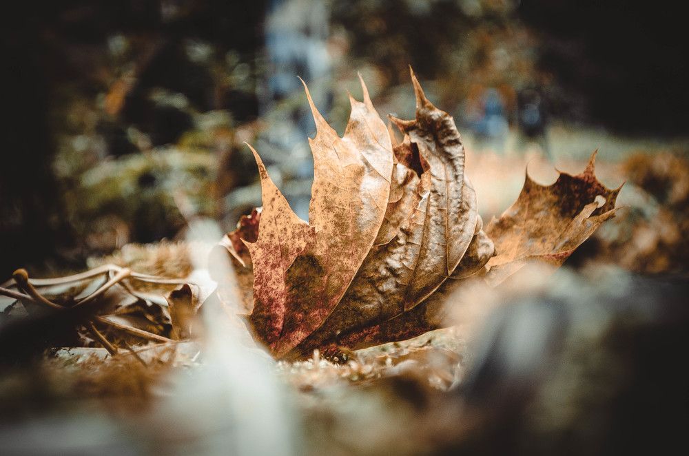 Photograph by Александр Забавка