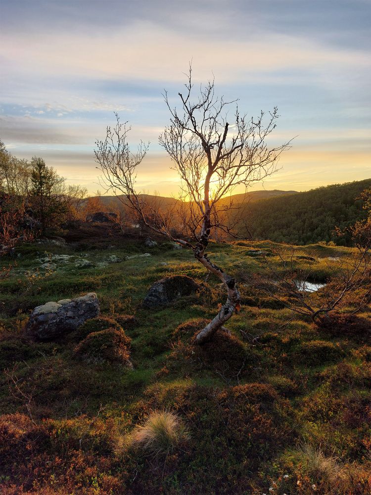 Фотография автора Андрей Русских
