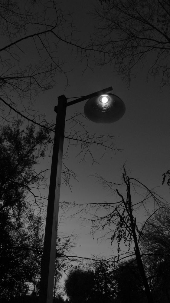 Photograph by Валентин Кабачек