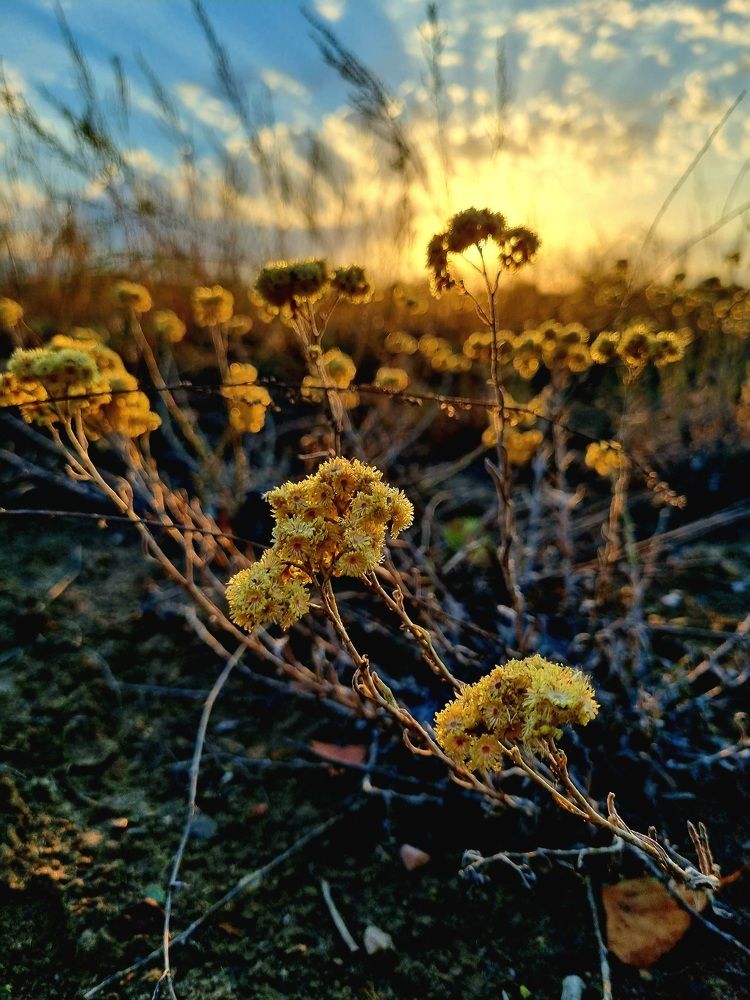 Photograph by Наталья Анисимова