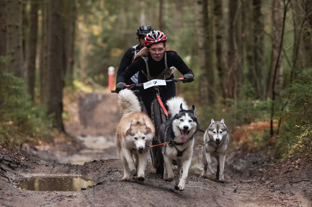 Photograph by Илья Юфа