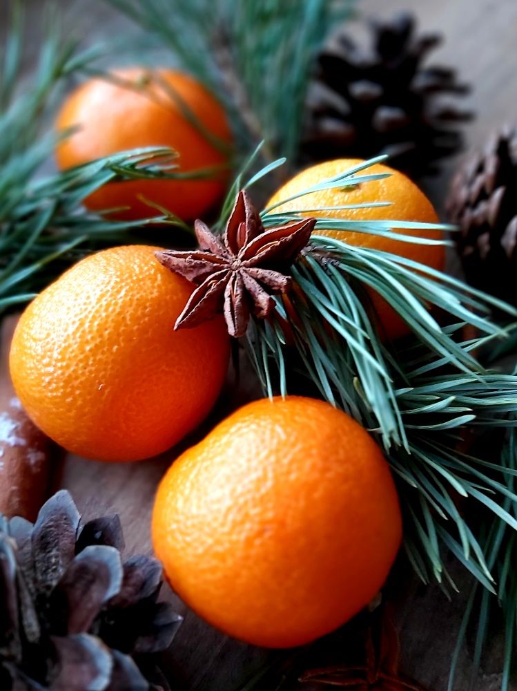 Photograph by Алена Ходатович