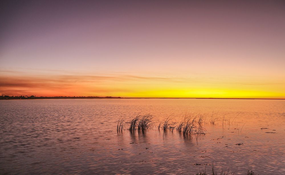 Фотография автора Marina