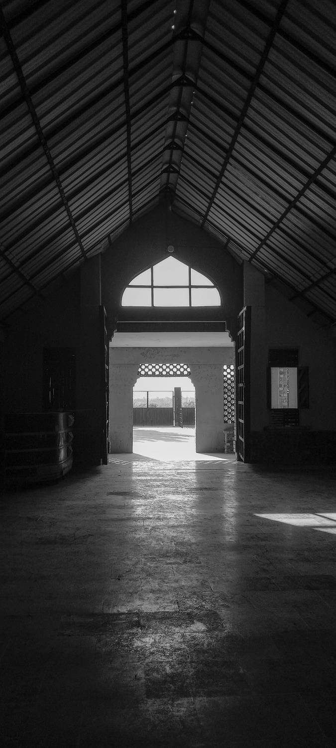 Photo #8917434