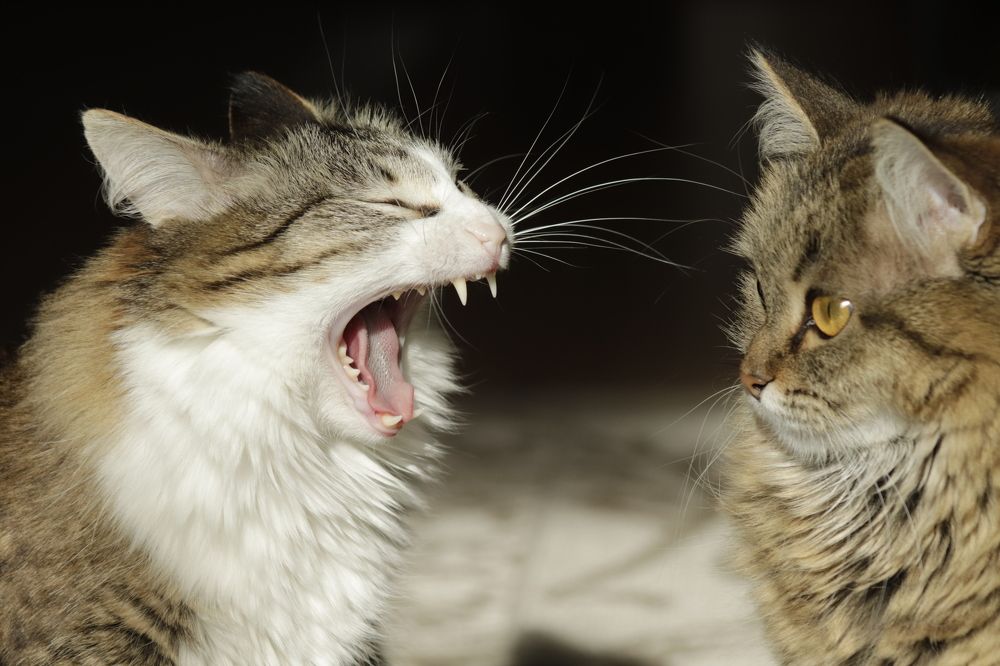 Photograph by Лариса Минбаева