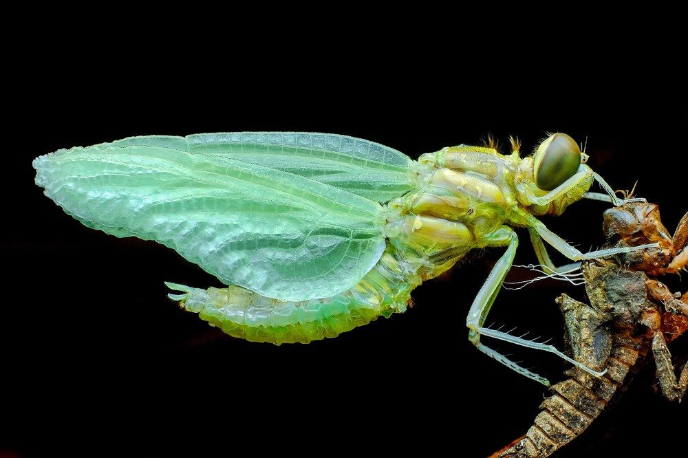 Photograph by Anjazz doz santoz