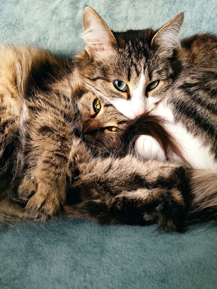 Photograph by Лариса Минбаева