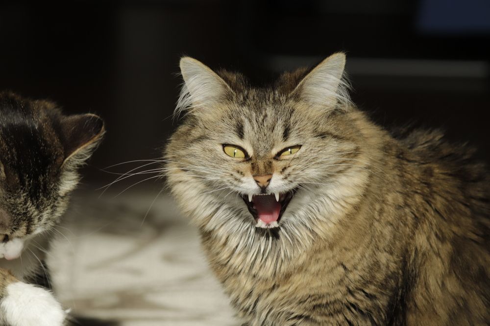 Photograph by Лариса Минбаева