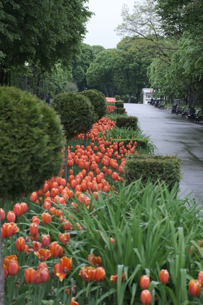 Photograph by Денис Клубникин