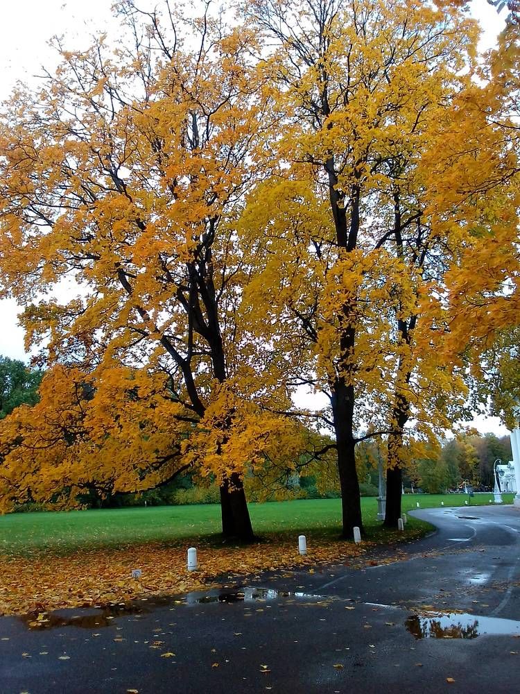 Photograph by Ольга Коркина