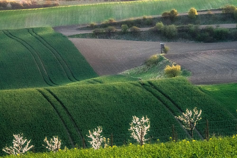 Photograph by ПАВЕЛ