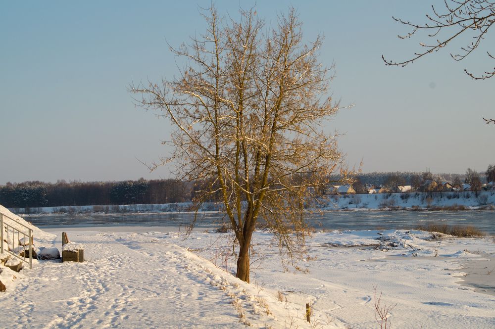 Фотография автора Нина Шкляр