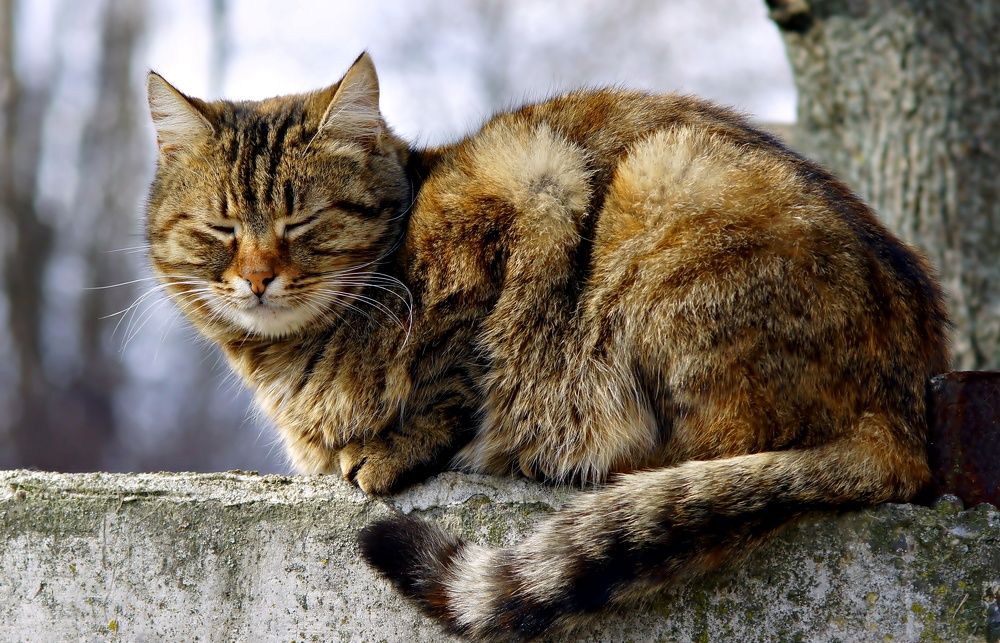 Photograph by Олег Кабанец