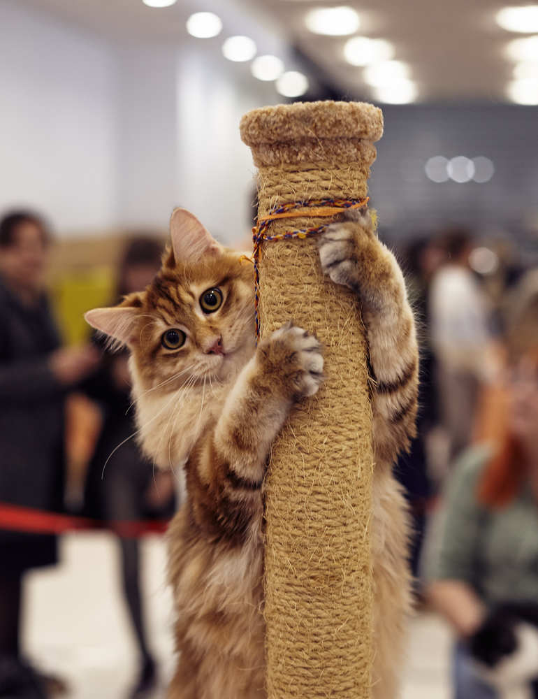 Photograph by Ольга Филатова