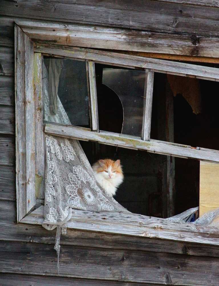 Photograph by Александра