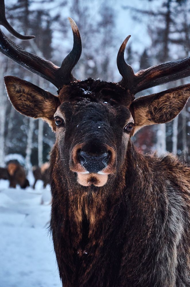 Photograph by Елена Кадаева