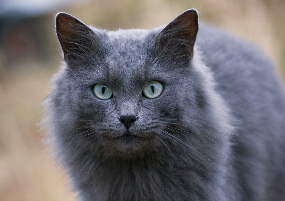 Photograph by Сергей Алексеев