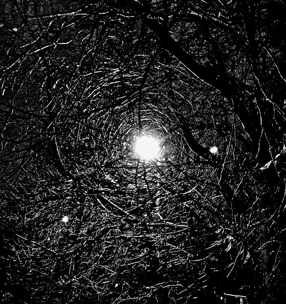 Photograph by Яна Галимуллина