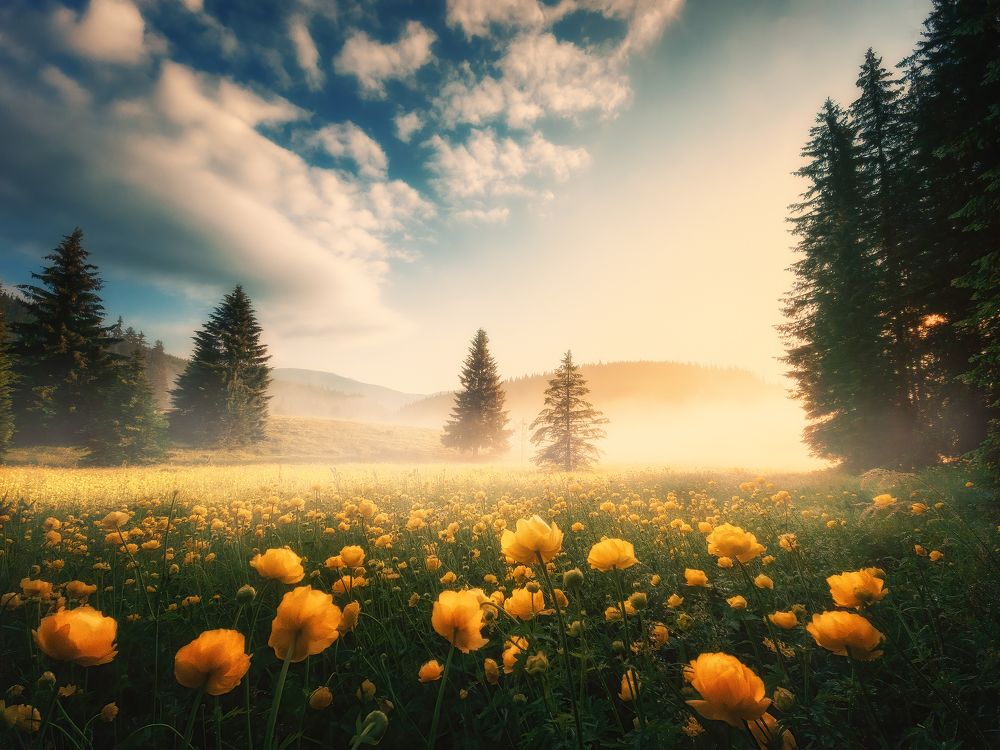 Photograph by Красимир Матаров