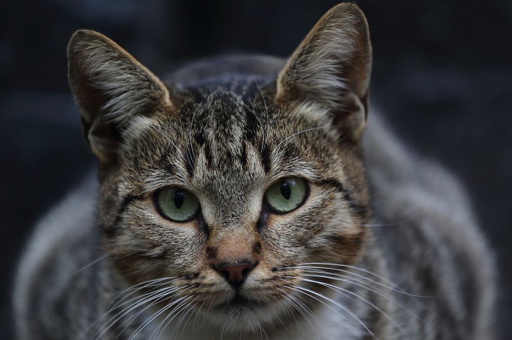 Photograph by Сергей Алексеев