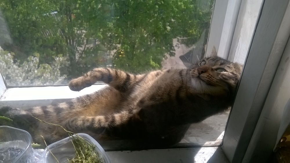 Photograph by Evgesha K