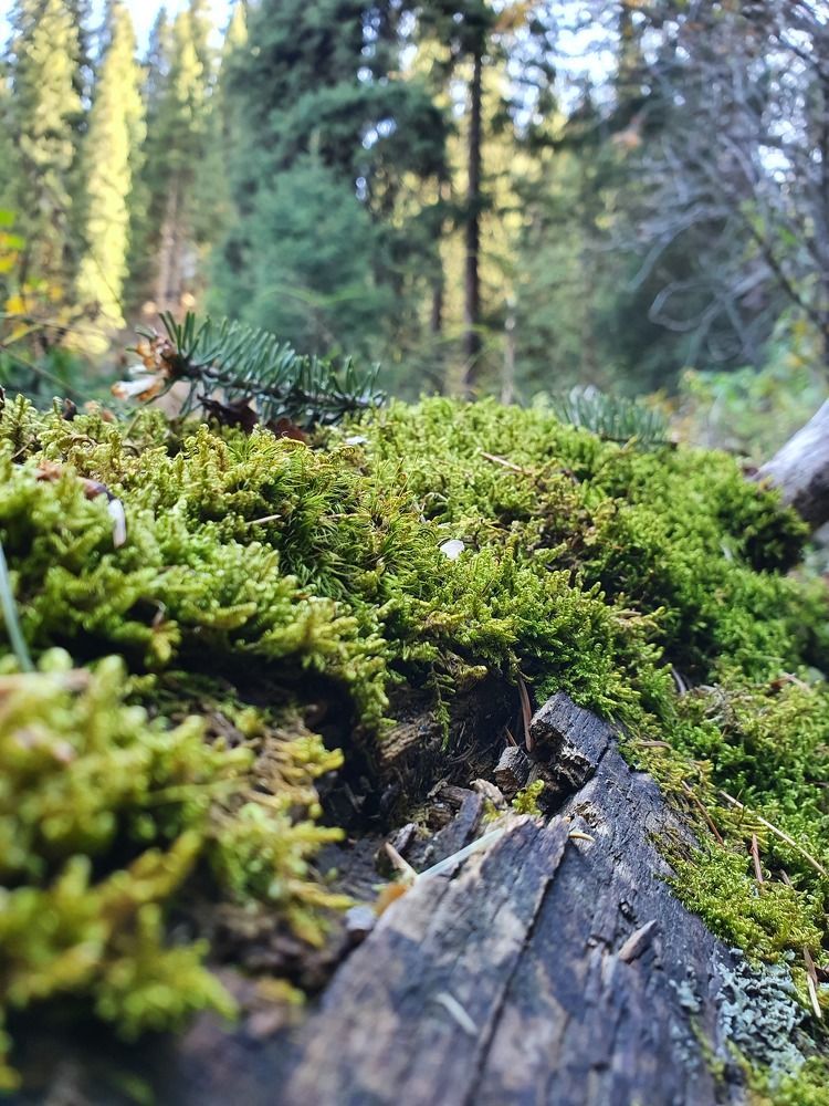 Фотография автора Алексей Дегтярёв