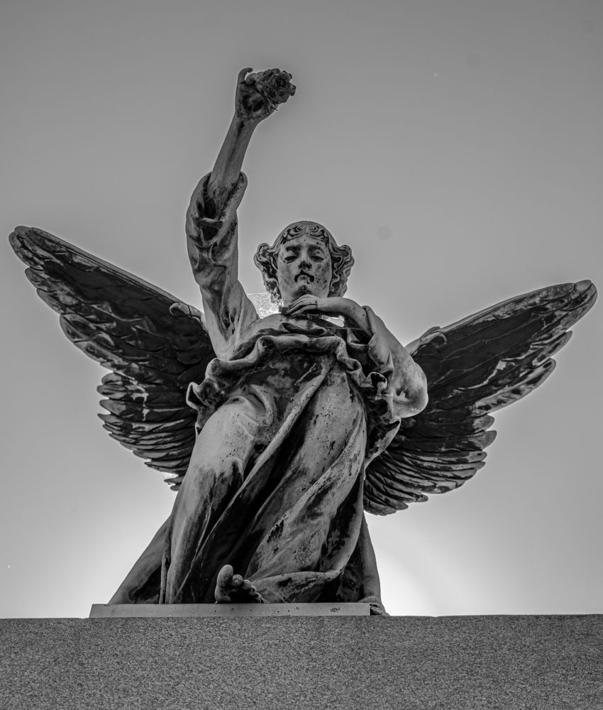 Фотография автора Liliana Cancino Abregu