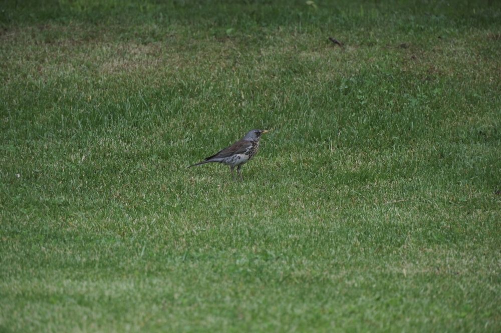 Photograph by Денис Клубникин