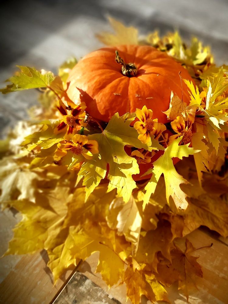 Photograph by Алена Ходатович