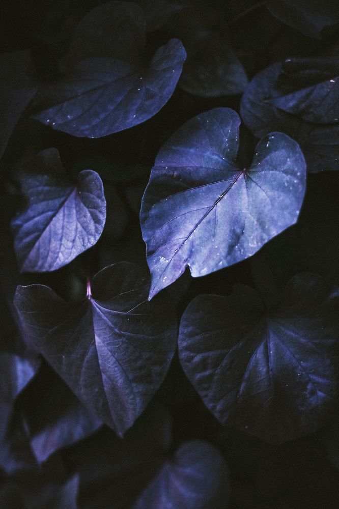 Фотография автора Zhenia Mikhalchenko