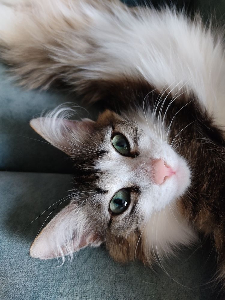 Photograph by Лариса Минбаева