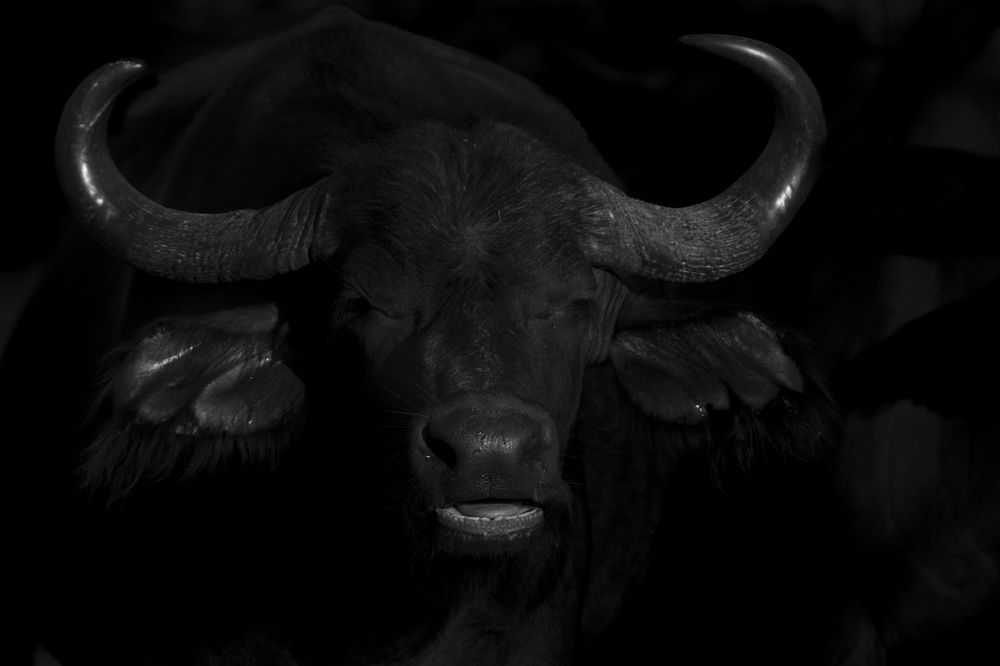 Photograph by Moses Maponya