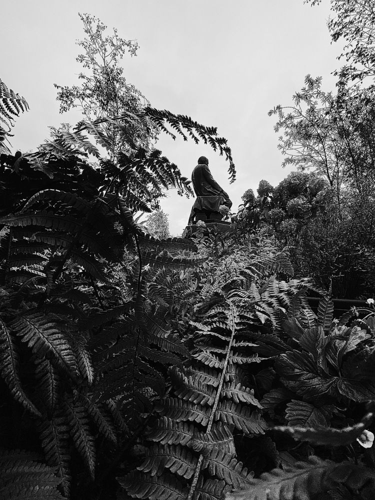 Photograph by Чепрасова Мария