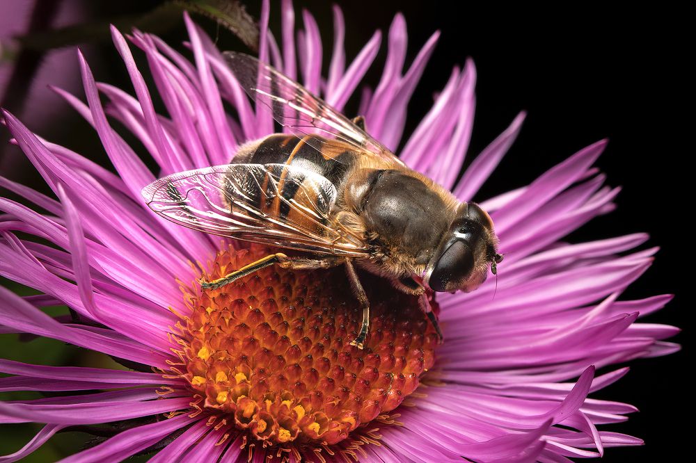 Photograph by Viktor Makarov