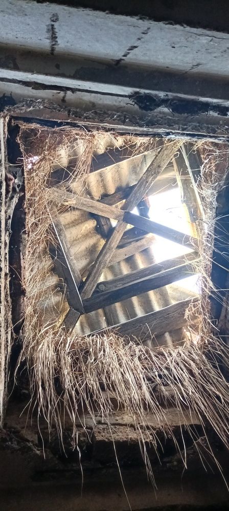 Photo #8917925