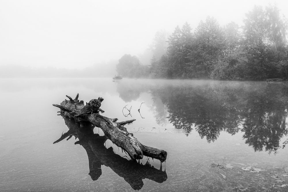 Photograph by Владимир Штыриков