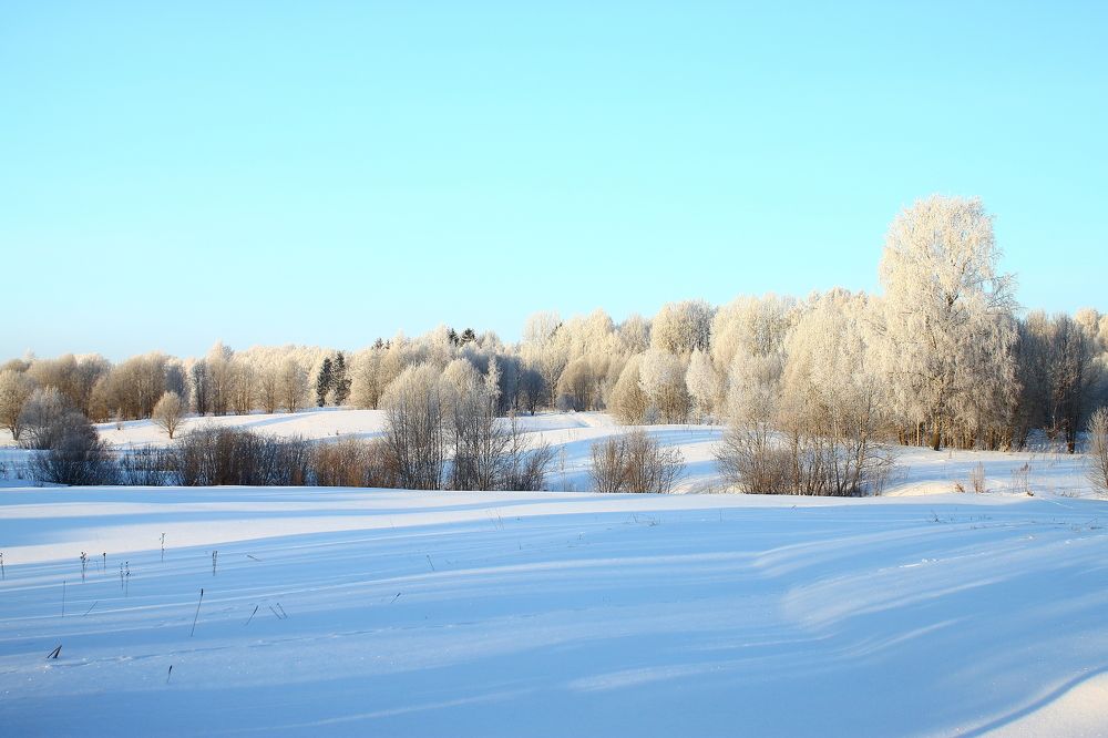 Photograph by Viktor