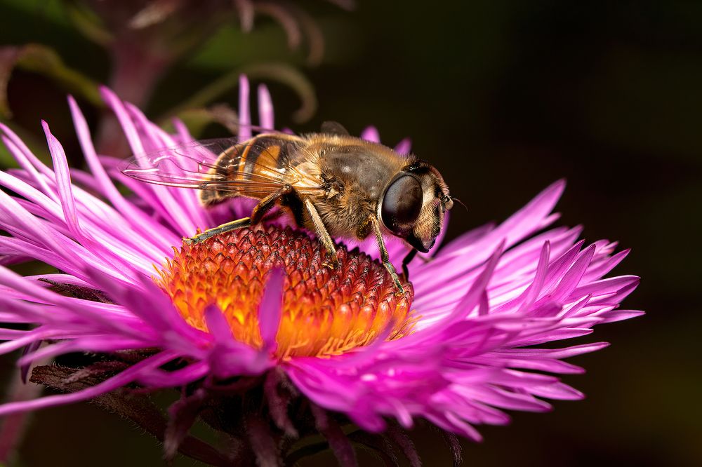 Photograph by Viktor Makarov