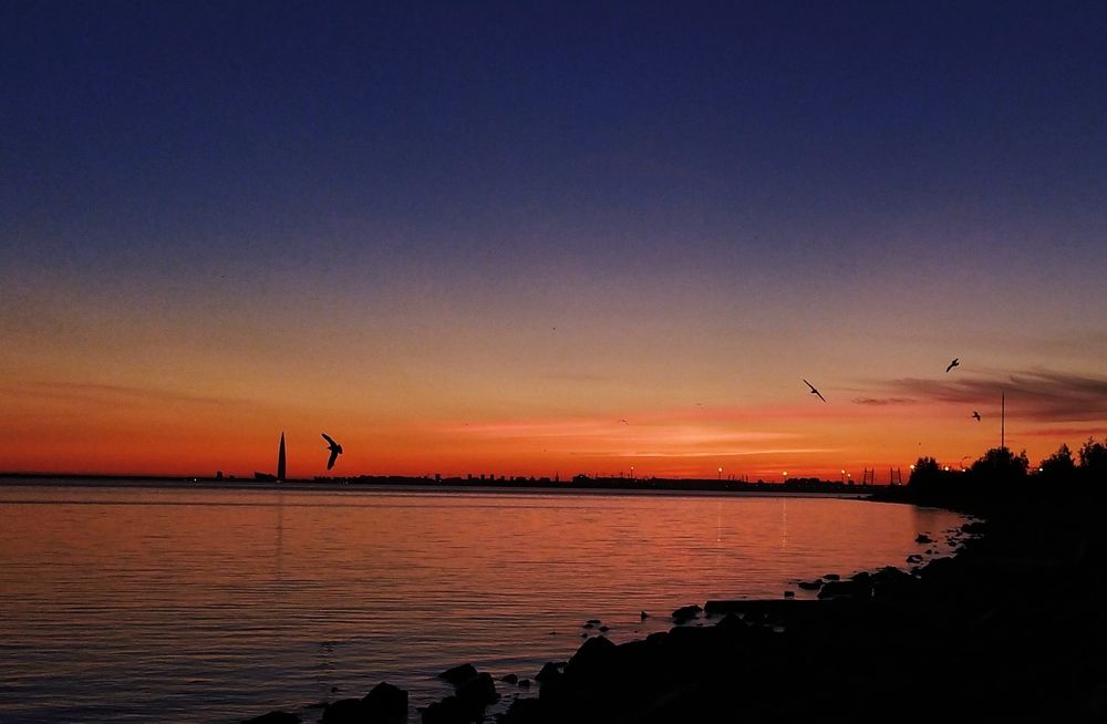 Photograph by Olga Kot