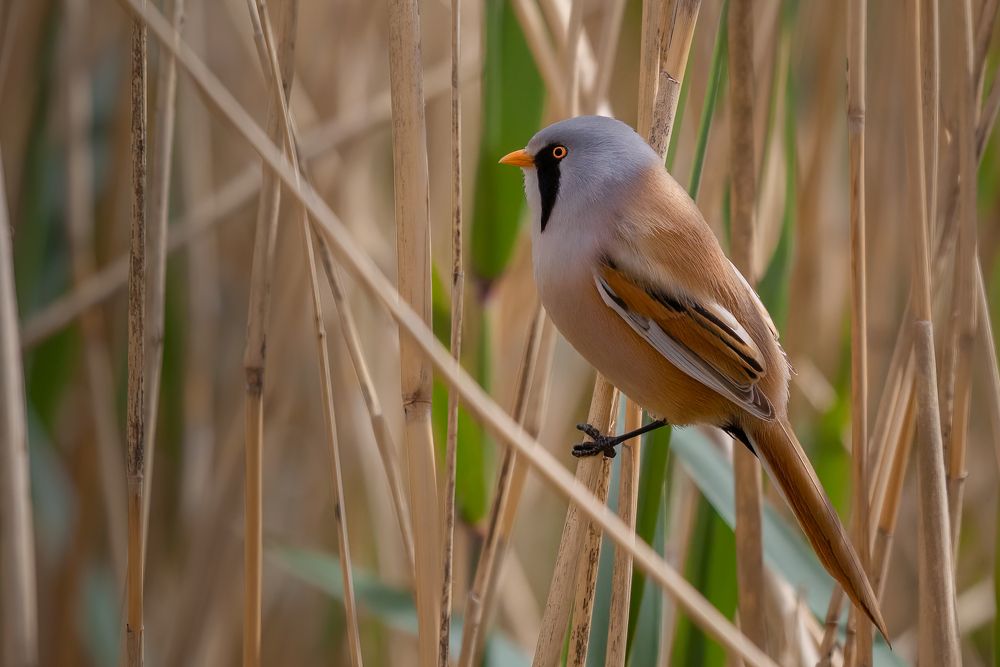 Photograph by Марат Кучкаев