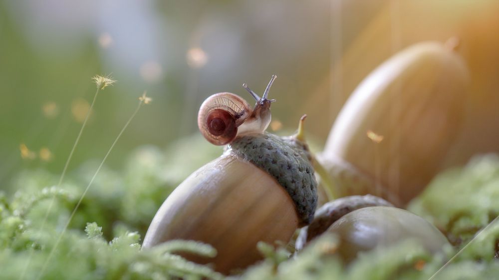 Осенние посиделки