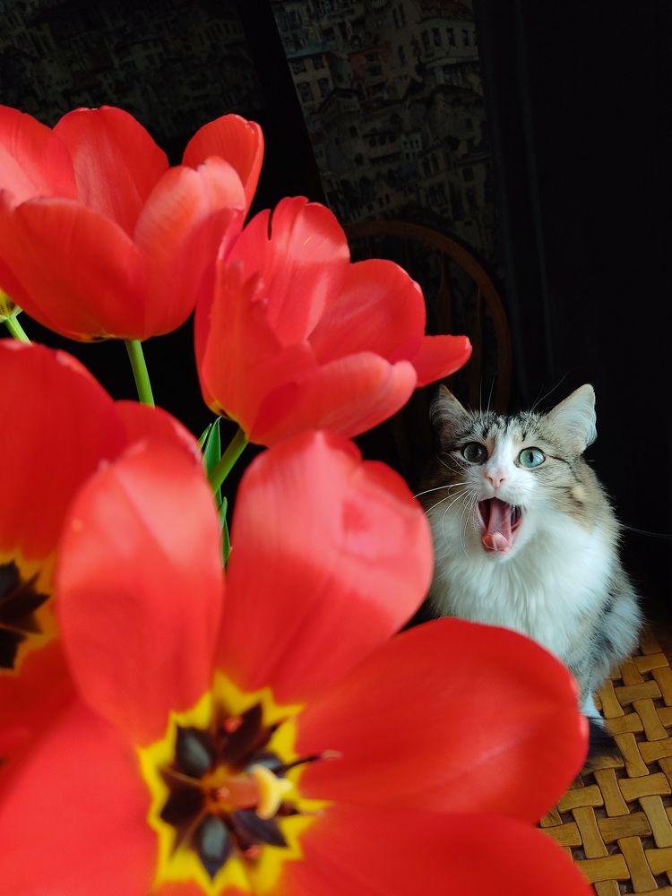 Photograph by Лариса Минбаева