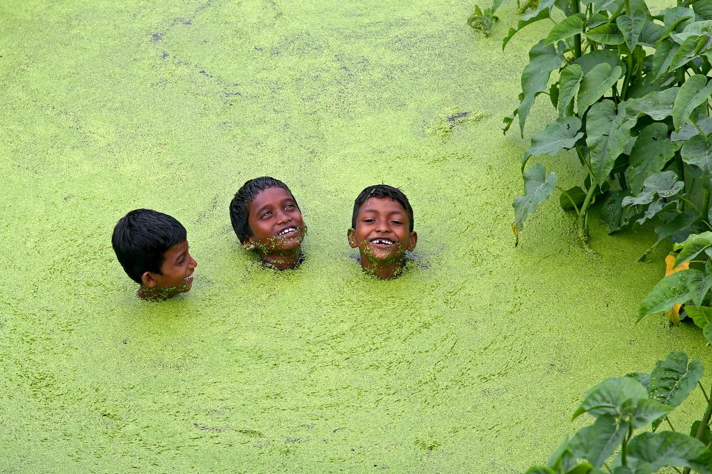 Photograph by Alok Avinash