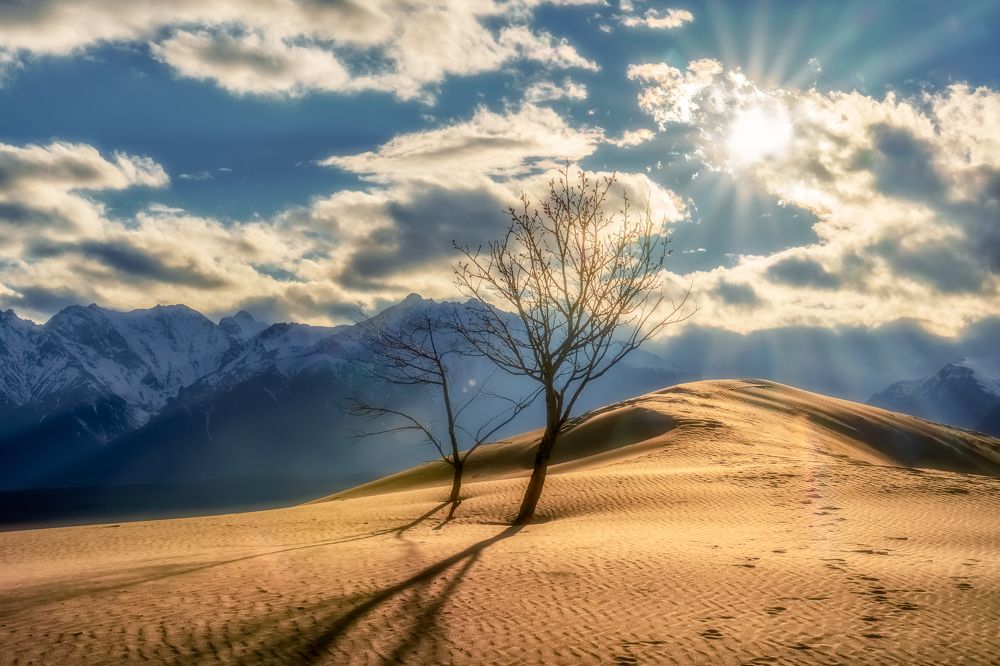 Среди песков сокрытые